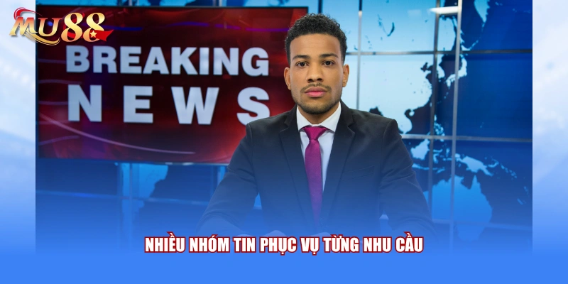 Nhiều nhóm tin phục vụ từng nhu cầu